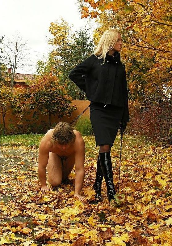 darren purdue recommends femdom slave leash pic