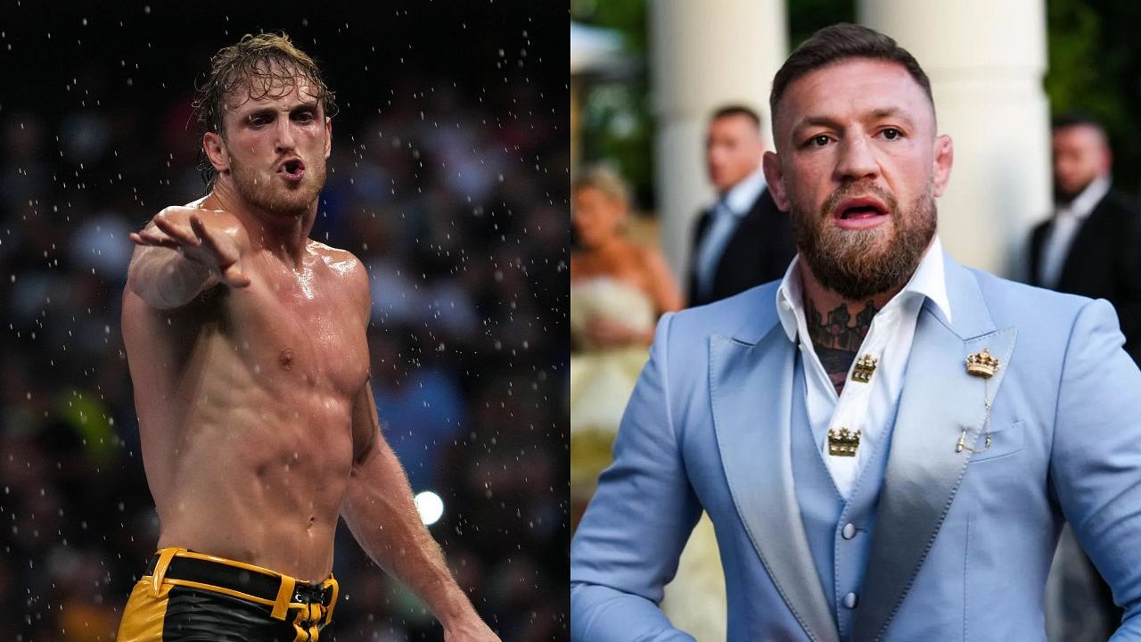 chelsey l like logan paul natty photo adam falkowski recommends logan paul natty pic