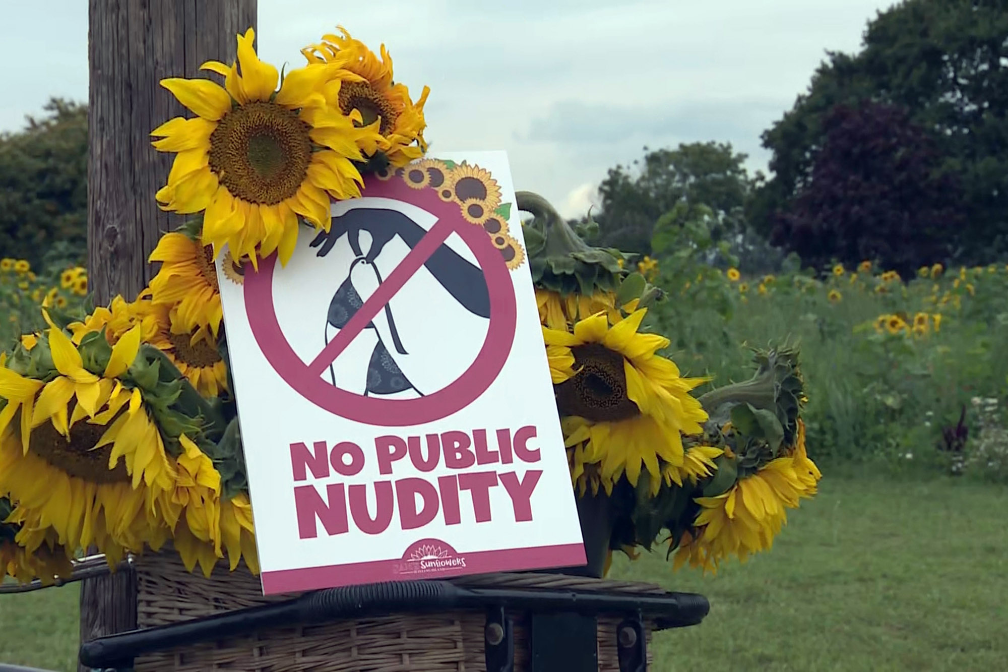 cahaya hidup recommends public strip nude azmi ibrahim azmi add public strip nude photo