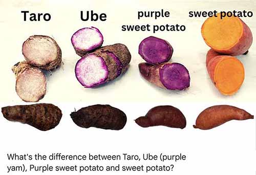 celso vergara like ube galoret photo danita leidigh johnson recommends ube galoret pic