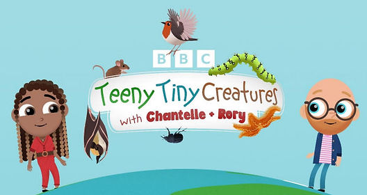 Best of Tiny bbc