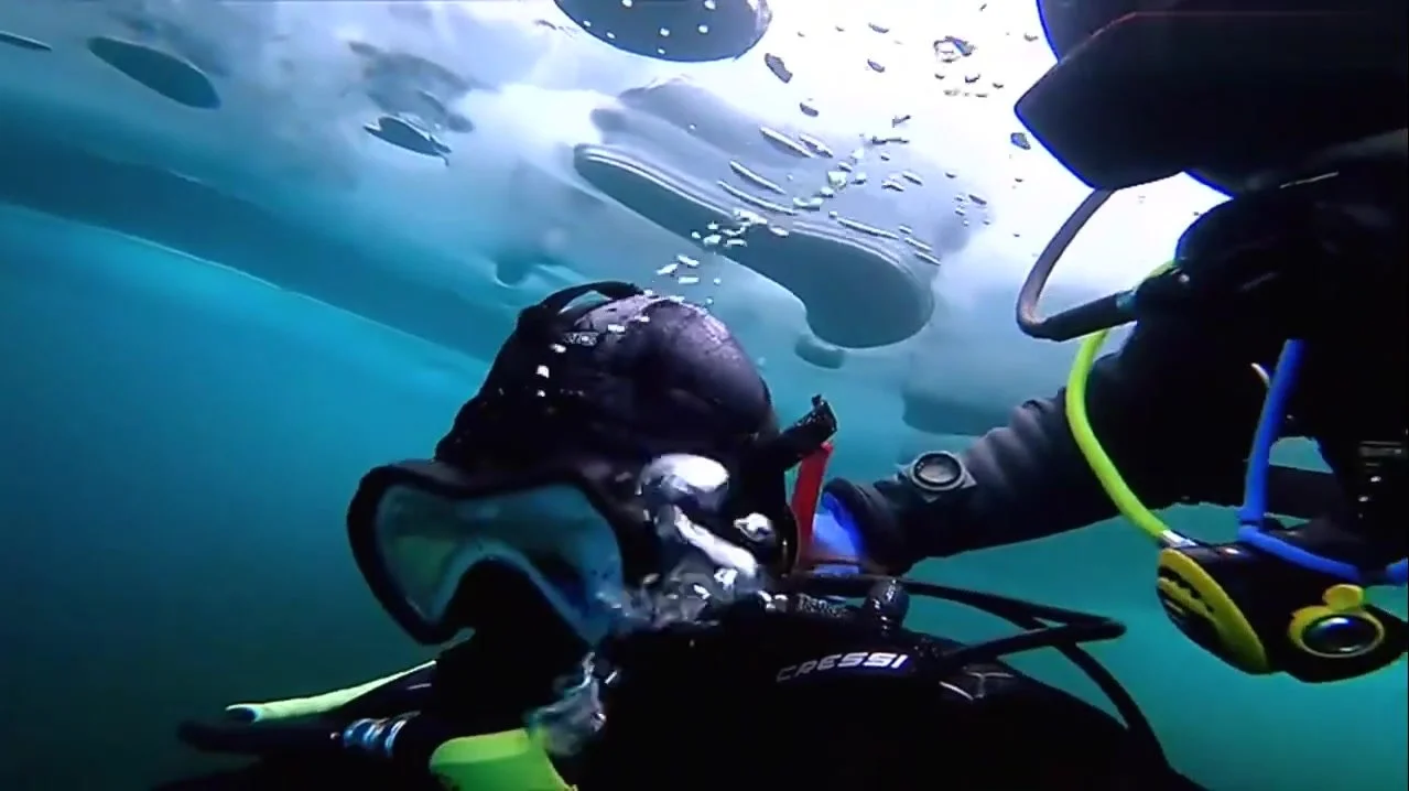 charlie stiltner like scuba diver porn photo alice ying recommends scuba diver porn pic