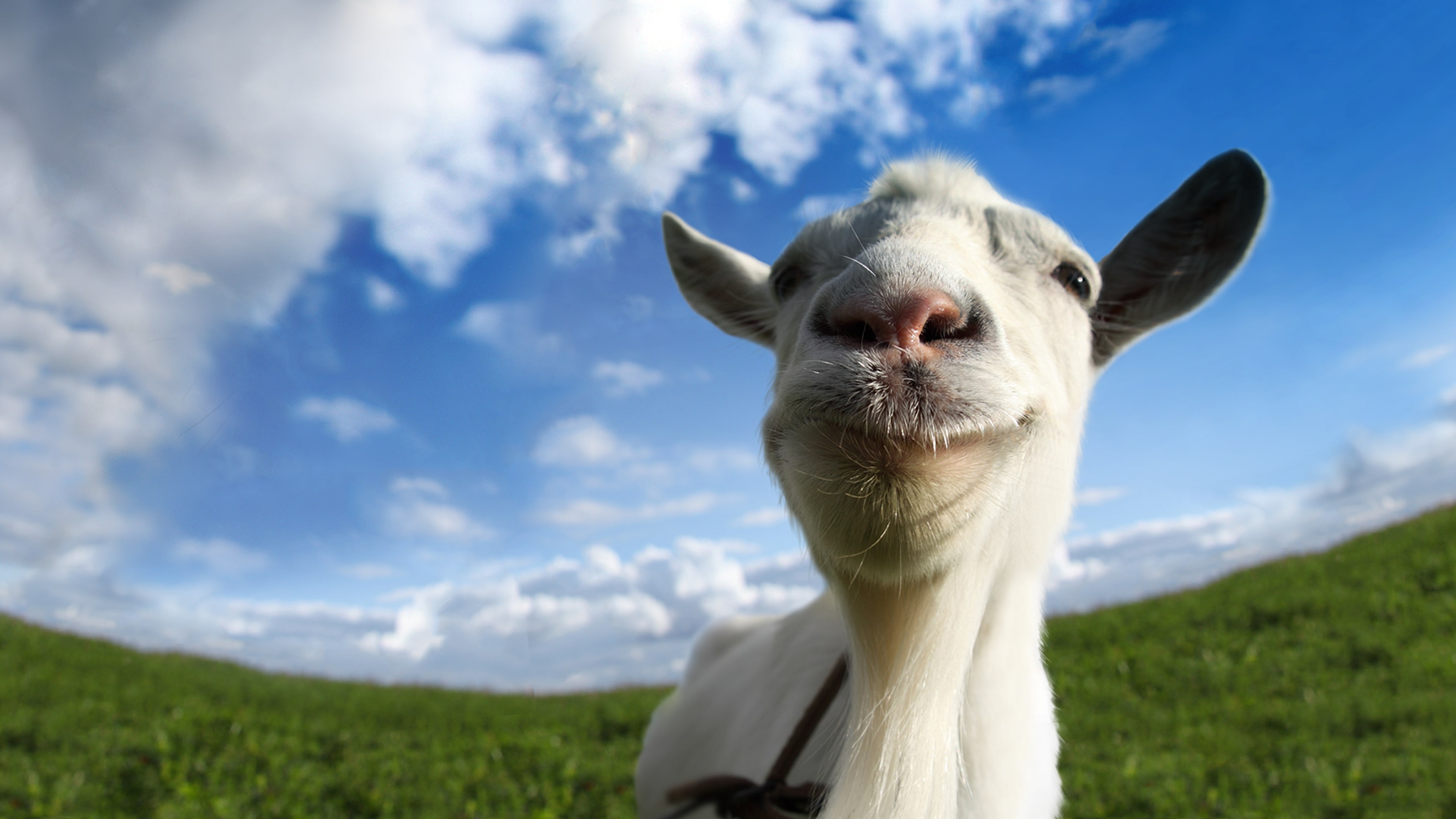 alby the goat - thailand teens naked bea schnuckel porn