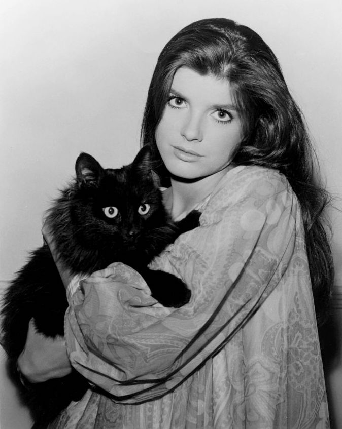 doris lui recommends katharine ross nude brian glenney add katharine ross nude photo