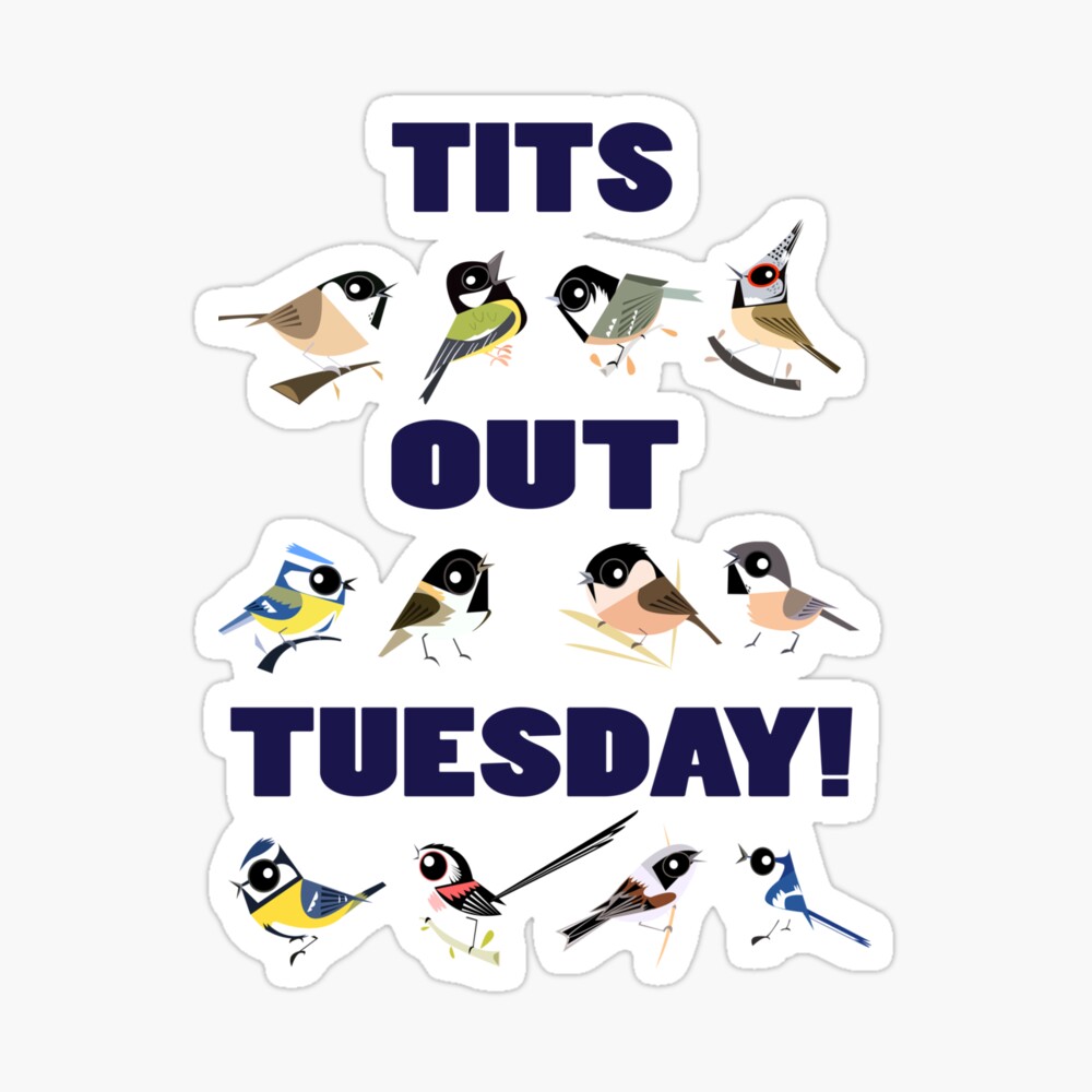 adam croxton recommends tits on tuesday pic