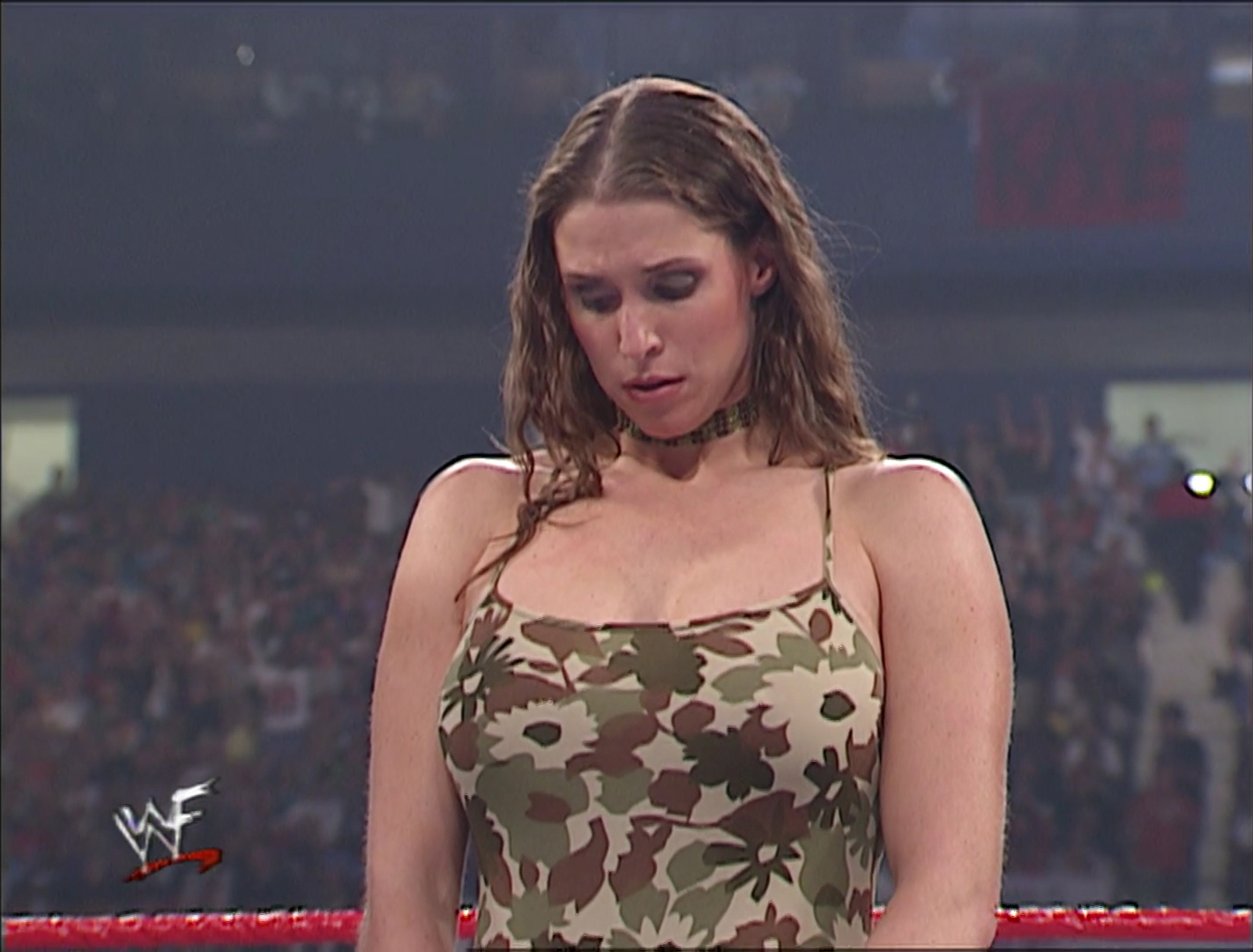 brea blevins like stephanie mcmahon boobs photo bii tran recommends stephanie mcmahon boobs pic