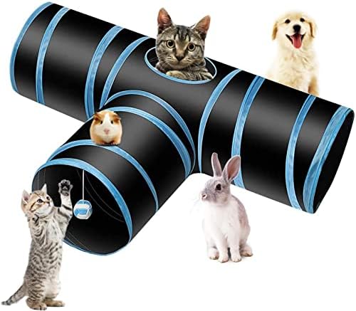 dharma manandhar add photo tube kitty com