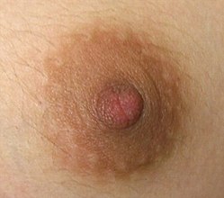 mature latina tits