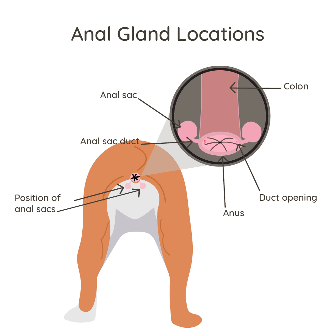 bill hurt recommends anal appetite pic