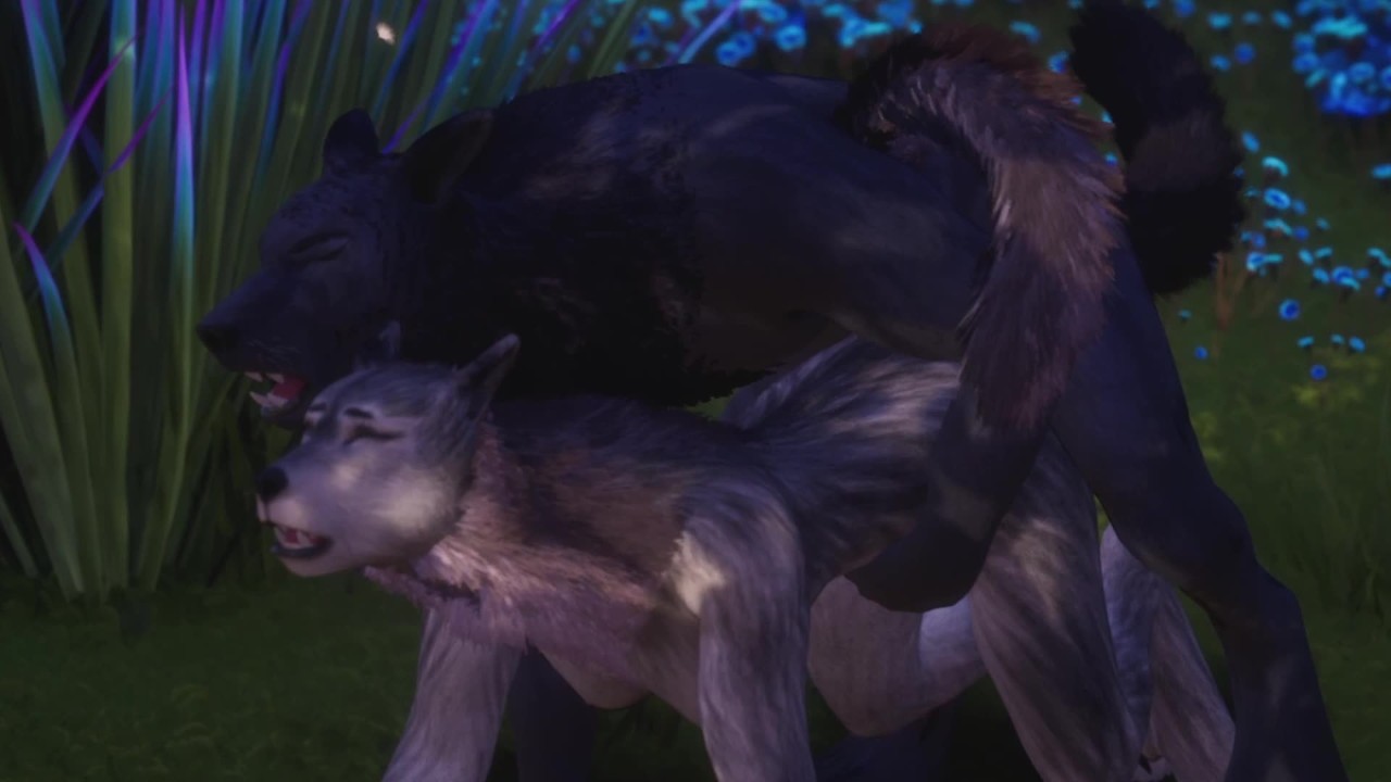 carrie wray recommends Wolf Animated Porn