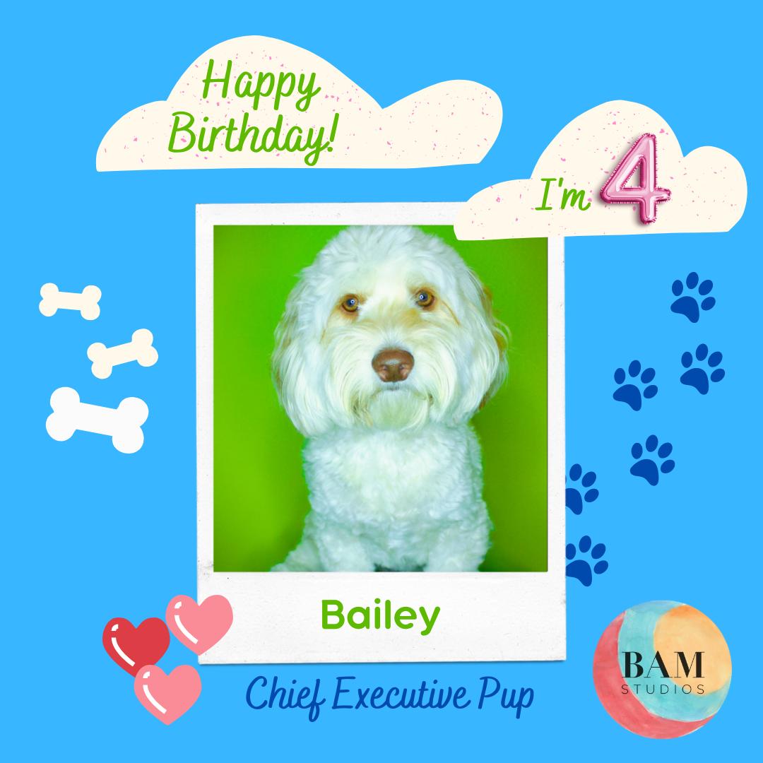 barry snelgrove recommends Bailey Bam