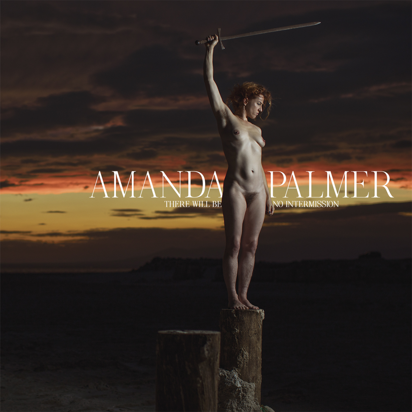 barbara dorgan recommends amanda palmer nude pic