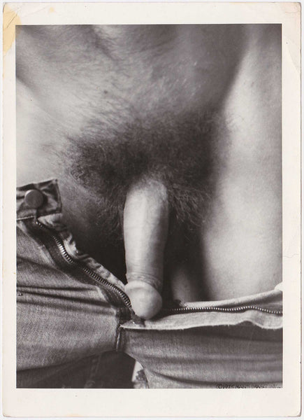 buddy monk recommends vintage gay erotica pic