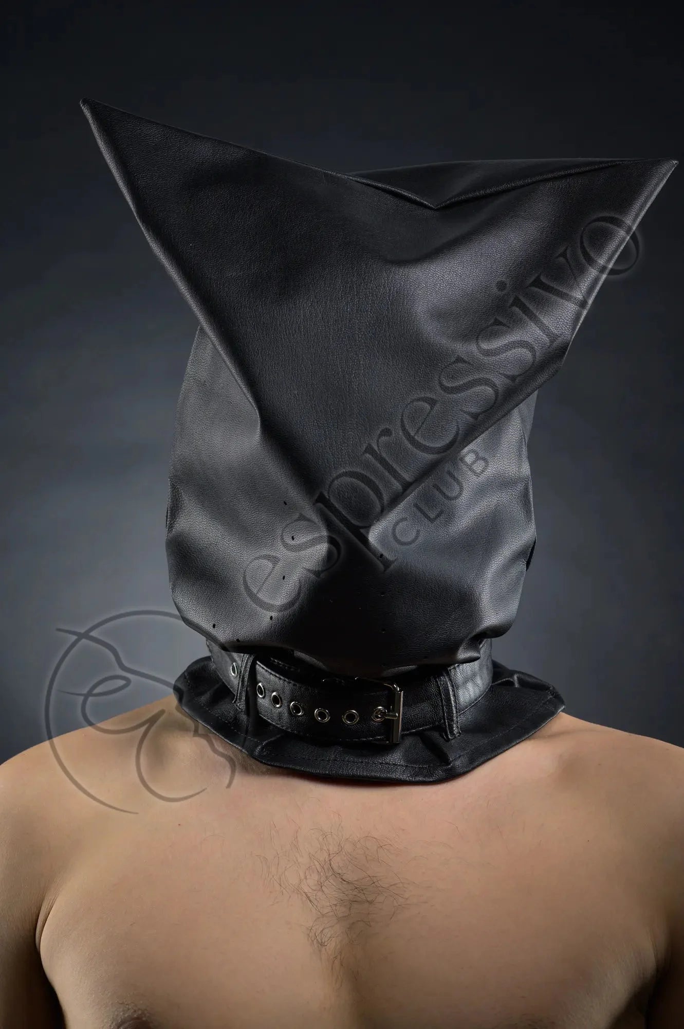 arelys martinez recommends Interrogation Bdsm