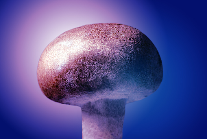danny blalock recommends mushroom head cocks pic