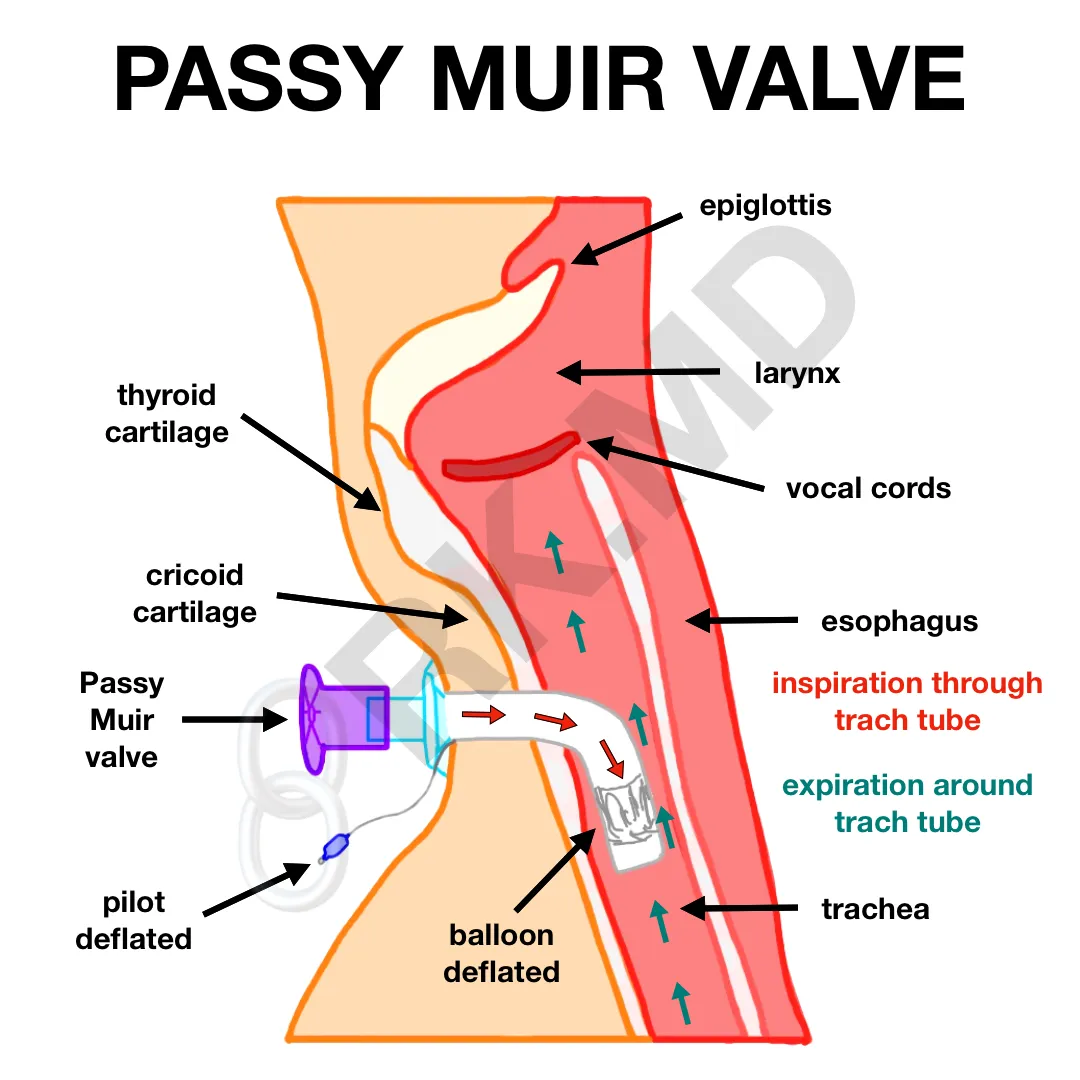 brent veazey recommends pmv tube pic