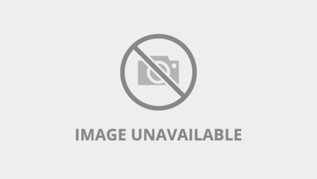 david edwin adams recommends tigger rosey videos pic