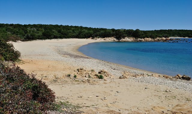 annie ivory recommends Italian Beach Nude