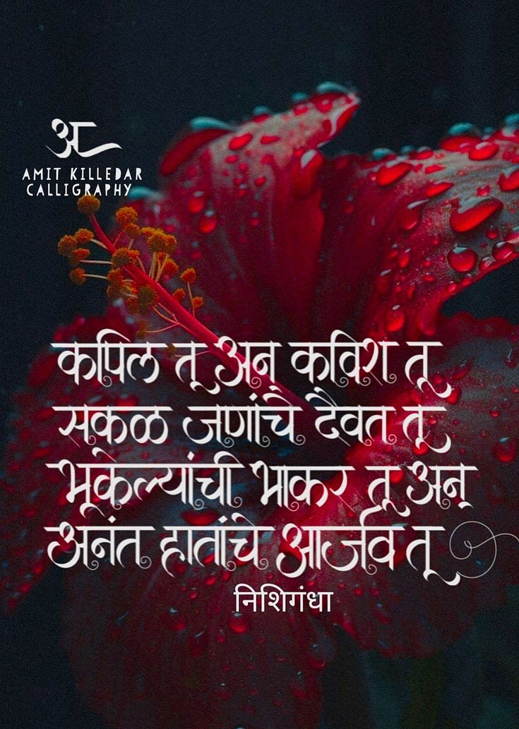 Best of abdulelah tu's gallery sunny ray naked ang mei mei add photo marathi porm