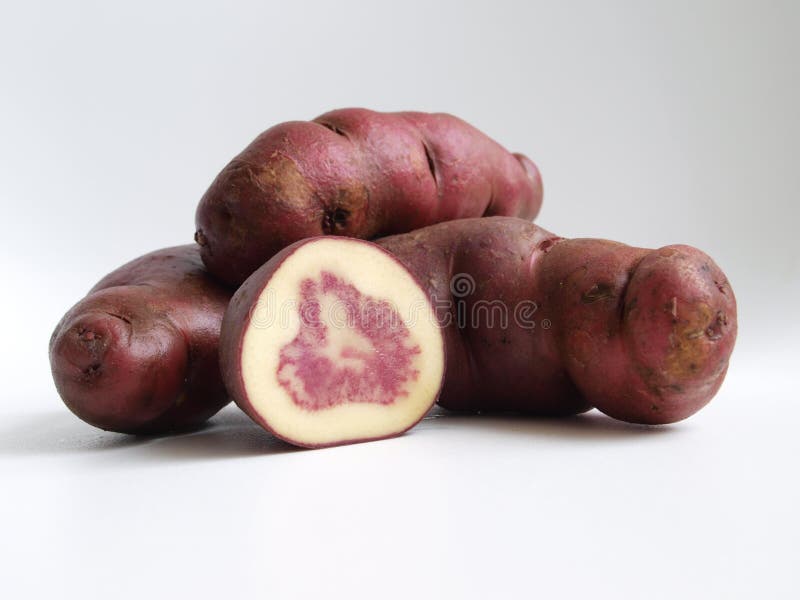 chris van nes recommends red tuber pic