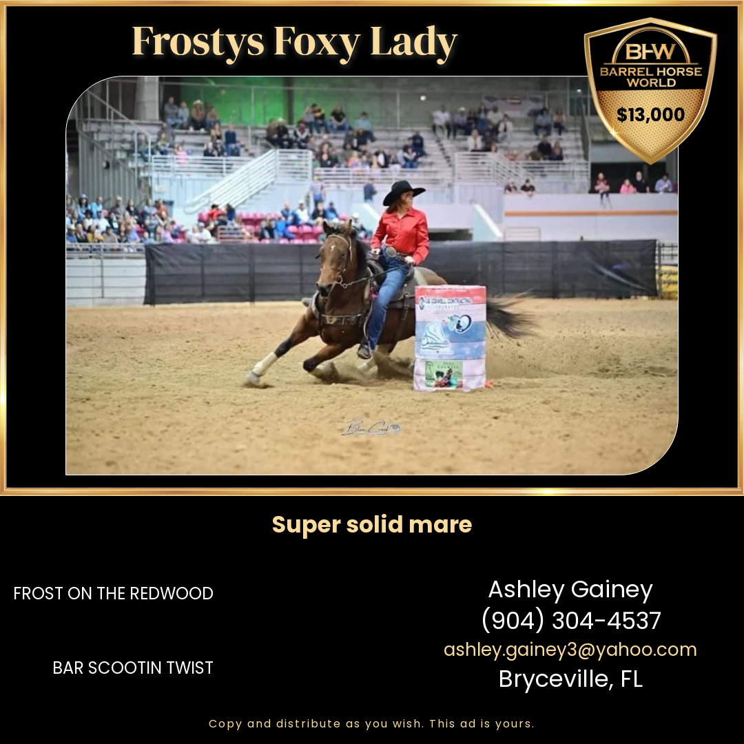 carole hoffer recommends Foxy Ashley