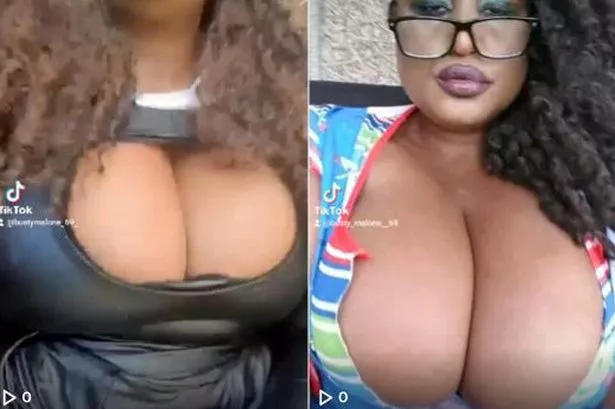 david rapkin recommends Big Tits Lineup