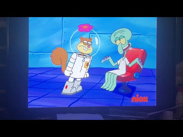 cherrycherry boom recommends sandy cheeks butt pic