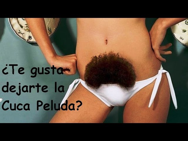 Best of Cuca peluda