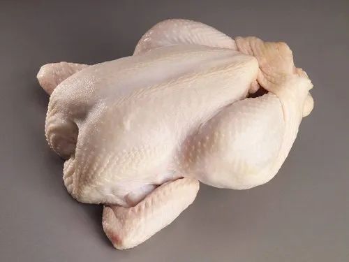 Best of Frozen chicken position pictures