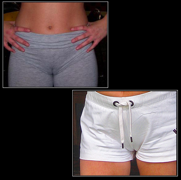 clinton rex like women with camel toes photo areeb ali khan recommends women with camel toes pic