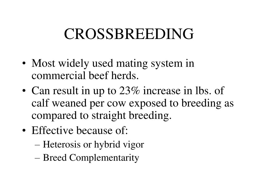 crossbreeding assistance - littlelucy leaked sexy nude amatures