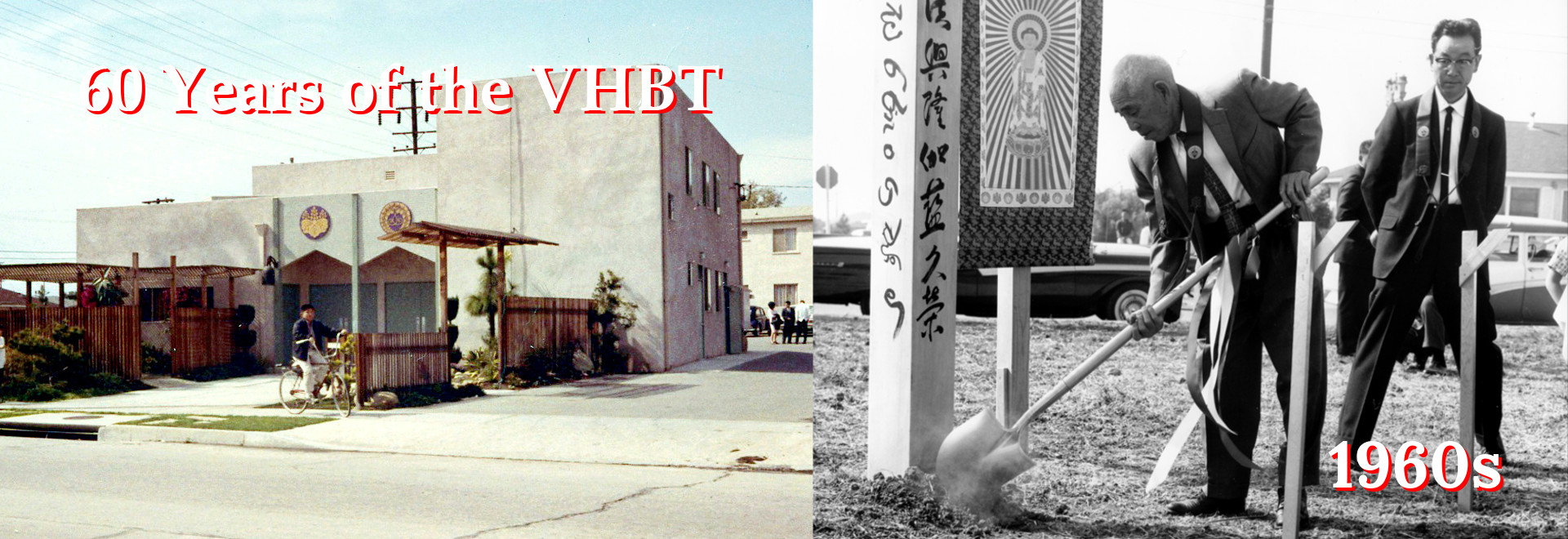 andy fairley recommends Venice Cub