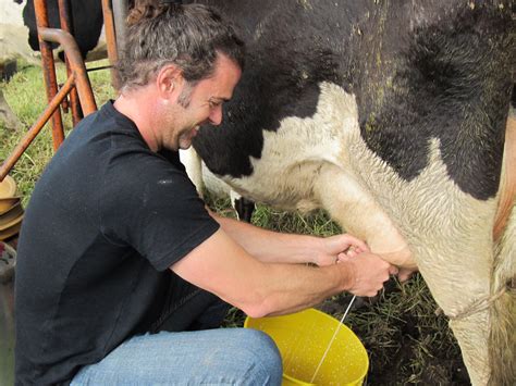 catalin leonte recommends real milking table pic