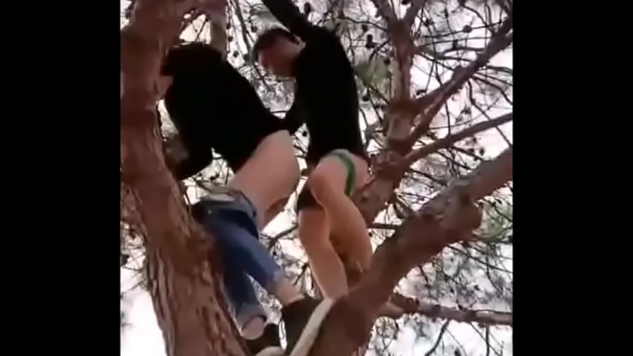 christine bowring recommends Tree Porn