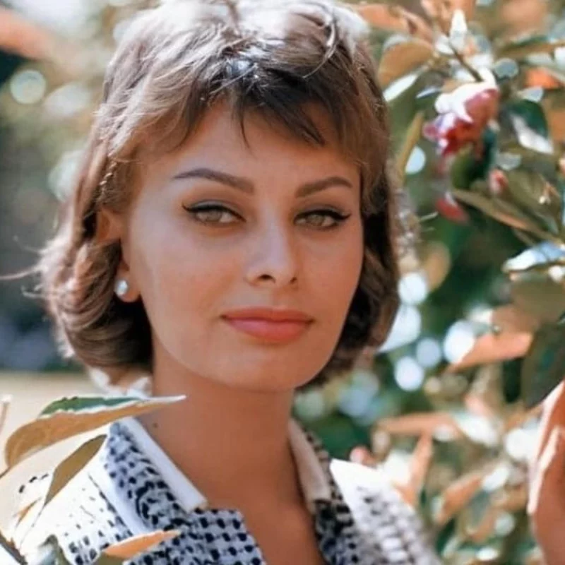 david godlis like sophia loren titties photo david verburg recommends sophia loren titties pic