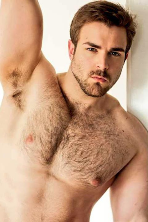 bita salimi recommends hairy hunk tumblr pic