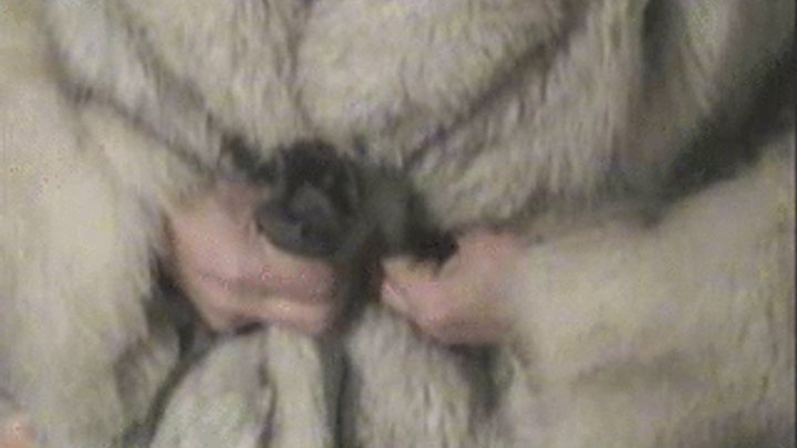 anthony campopiano share handjob with fur photos