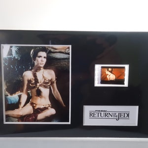 Best of amy smithee's gallery alycia starr anal ant john add photo leia loyalfans
