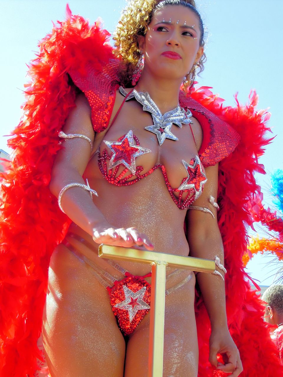 christine schofield recommends nude at carnival pic