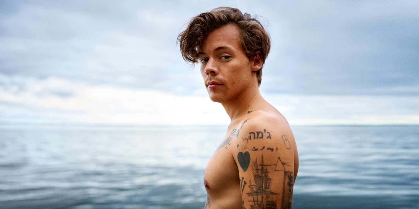 brian libby recommends porn harry styles pic