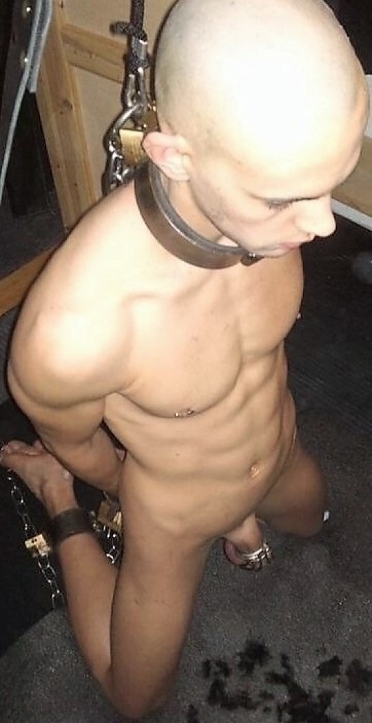 porn stories slave - raylene joi zaawaadi porn