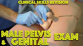 Real Penis Exam bulge porn derik taylor recommends Real Penis Exam