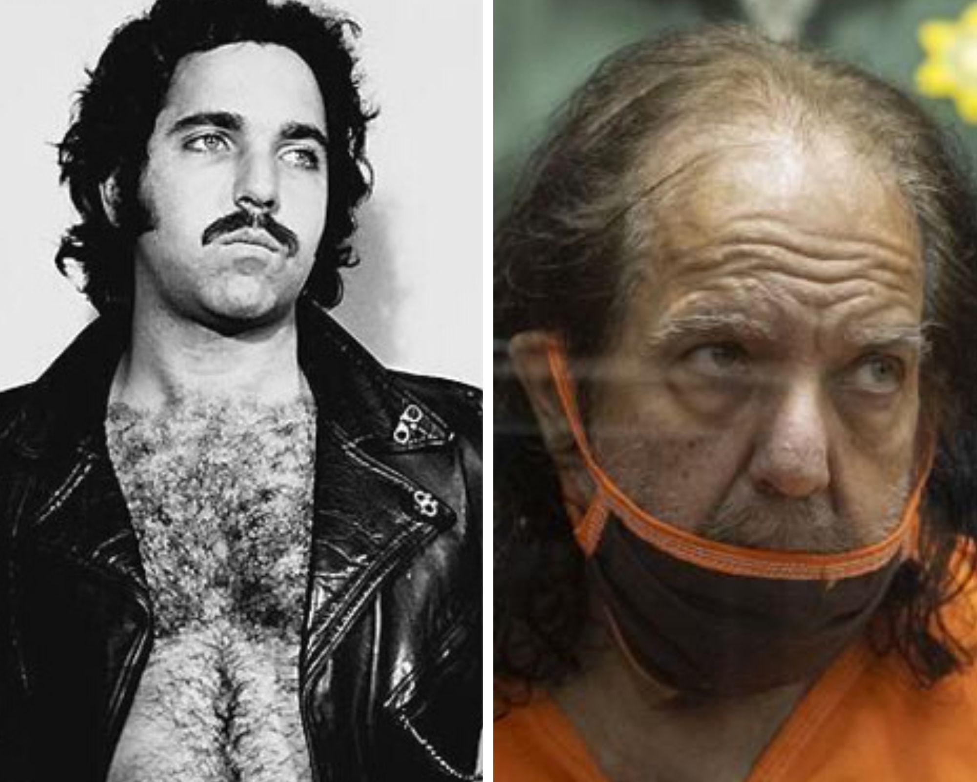 dhananjay nikam recommends ron jeremy ginger lynn pic