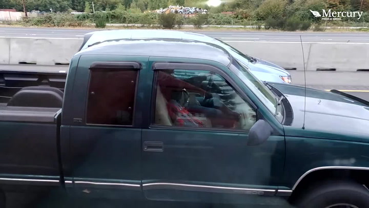 truckers jacking off - ferro network ottilia av free japan