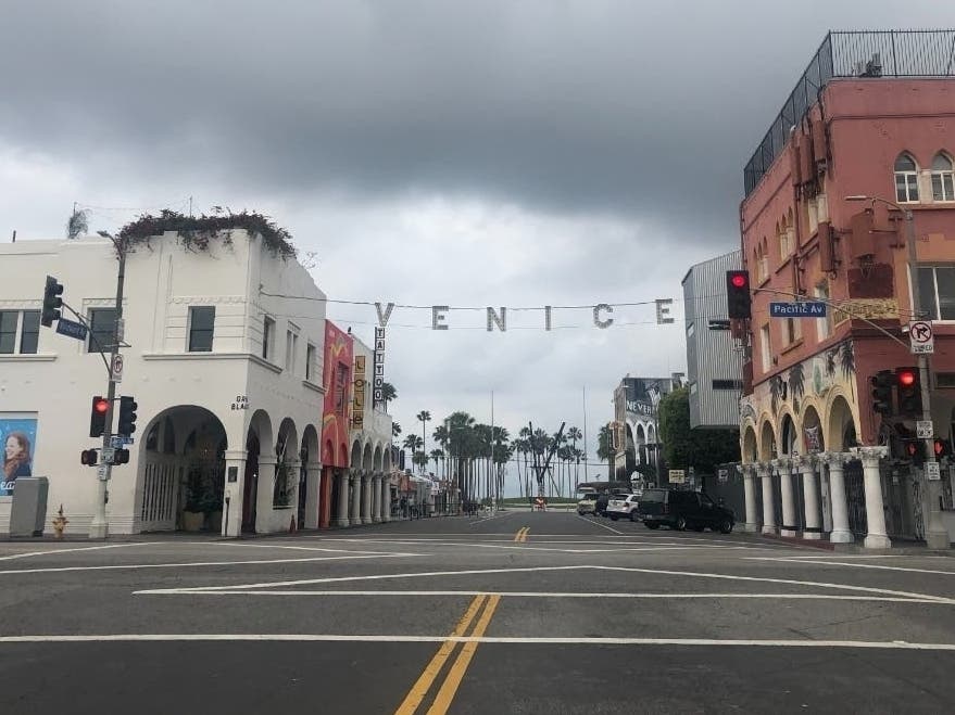 brandi nunez recommends venice cub pic